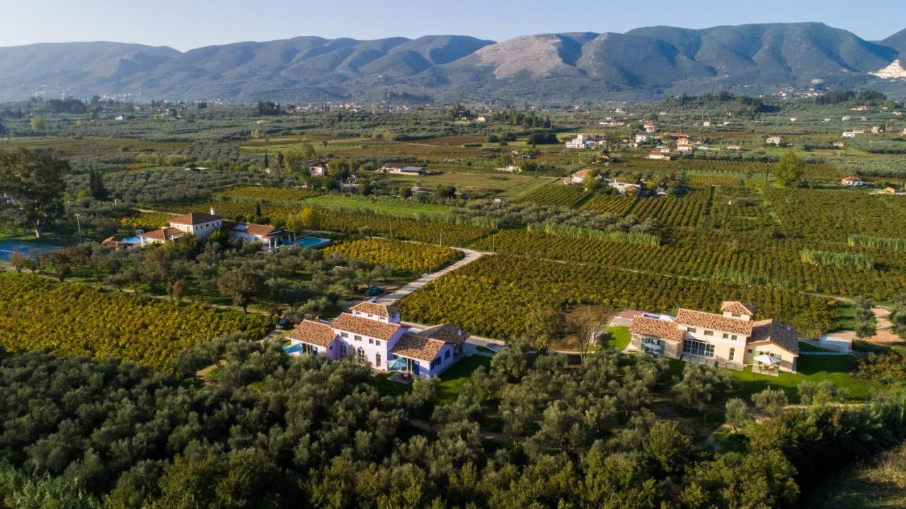 Aneli Luxury Villas - Villa Semeli Áyios Kírikos المظهر الخارجي الصورة