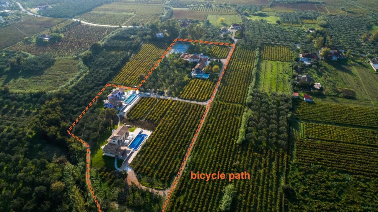 Aneli Luxury Villas - Villa Semeli Áyios Kírikos المظهر الخارجي الصورة